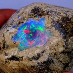 WhatsApp Image 2023-03-23 at 2.45.09 AM